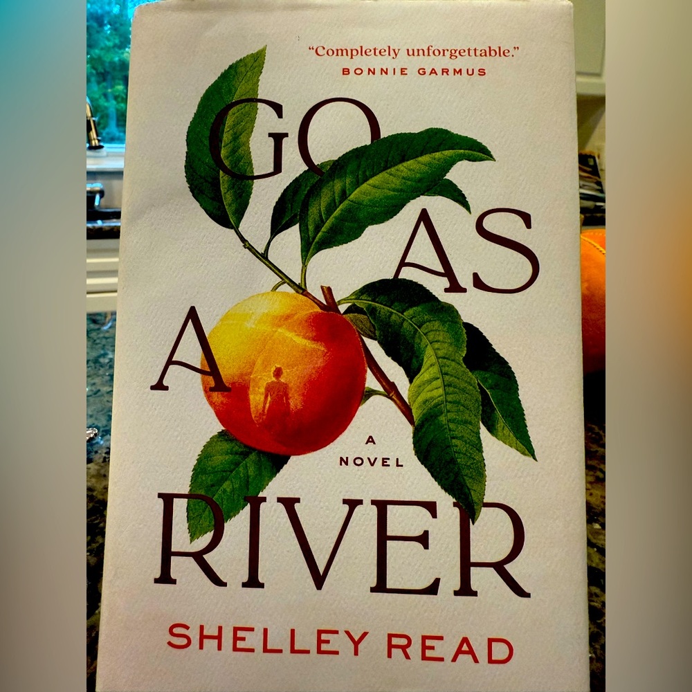 Go As A River hardcover novel